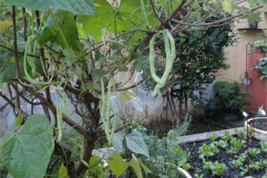 Sobrado à venda com 6 quartos, sendo 2 suítes, em Horto Florestal, São Paulo, SP