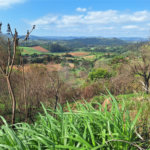 Área de Terra à venda com 1 suíte em Cocais, Itatiba, SP