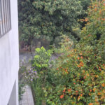 Terreno à venda ou para alugar em Horto, São Paulo, SP