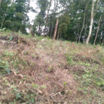 Terreno à venda em Jardim Atalaia, Cotia, SP