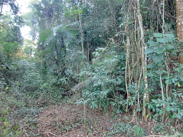 Terreno à venda no condomínio Sausalito, Mairiporã - SP