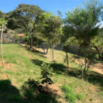 Casa à venda com 3 quartos, sendo 1 suíte, em Olho D'água, Mairiporã, SP