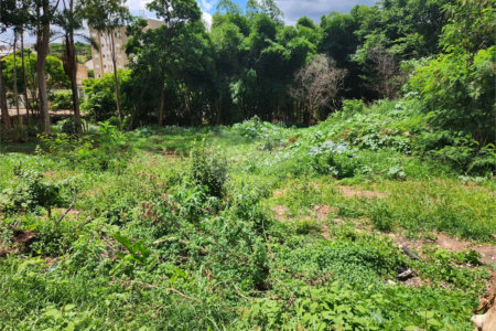 Terreno à venda em Jardim do Carmo, Araraquara, SP