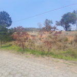 Terreno à venda no condomínio Aútria da Cantareira, Mairiporã - SP