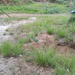Terreno à venda em Santíssimo, Rio de Janeiro, RJ
