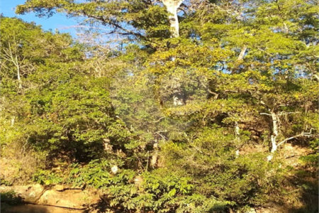 Chácara à venda no Centro, Monte Sião, MG