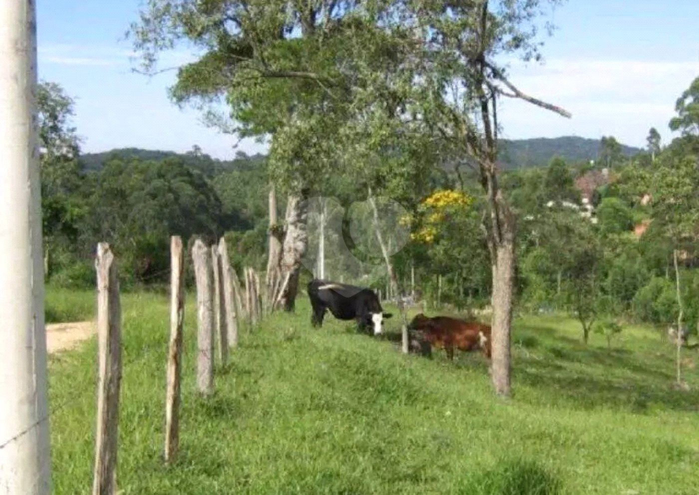 Área de Terra à venda em Alto da Serra (mailasqui), São Roque, SP