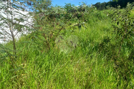 Terreno à venda em Jardim Primavera, Itupeva, SP