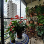 Apartamento à venda com 3 quartos, sendo 1 suíte, em Real Parque, São Paulo, SP