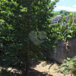 Sobrado à venda com 2 quartos, sendo 1 suíte,  no Brasilândia, São Paulo, SP