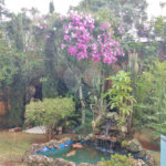Chácara à venda com 4 quartos, sendo 1 suíte,  em Vila Dom Pedro, Atibaia, SP