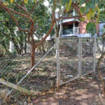 Terreno à venda em Jardim Ampliação, São Paulo, SP