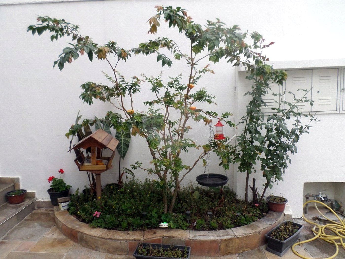 Sobrado à venda com 3 quartos, sendo 1 suíte, em Imirim, São Paulo, SP