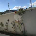 Casa à venda com 5 quartos, sendo 3 suítes, em Loteamento Jardim Morumbi, Atibaia, SP
