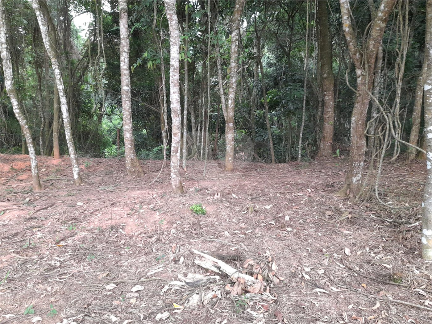 Loteamento à venda em Jardim Peri, São Paulo, SP