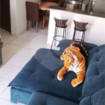 Casa à venda ou para alugar com 3 quartos, sendo 1 suíte, em Florida Mirim, Mongaguá, SP