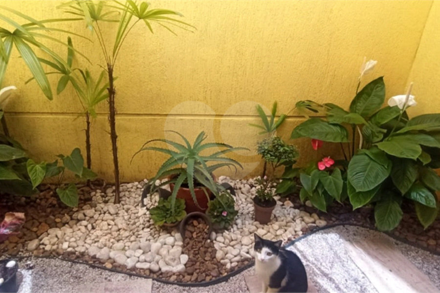 Sobrado à venda com 3 suítes em Vila Mazzei, São Paulo, SP