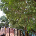 Apartamento à venda com 3 quartos, sendo 1 suíte, em Real Parque, São Paulo, SP