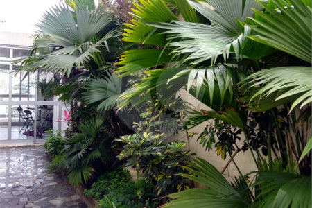 Sobrado à venda com 5 quartos, sendo 1 suíte,  em Planalto Paulista, São Paulo, SP