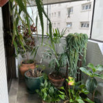 Apartamento à venda com 3 suítes em Granja Julieta, São Paulo, SP
