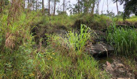 Terreno à venda em Serra da Cantareira, Mairiporã, SP
