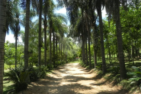 Terreno à venda em Chácaras do Guacuri, Itupeva, SP