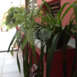 Sobrado à venda com 4 quartos, sendo 2 suítes,  em Campo Belo, São Paulo, SP