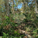 Terreno à venda em Remédios, Mairiporã, SP