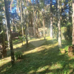 Casa à venda com 4 suítes em Serra da Cantareira, Mairiporã, SP