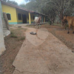 Sítio à venda com 3 quartos, sendo 2 suítes,  em Cachoeira, Atibaia, SP