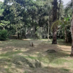 Terreno à venda em Jardim Marica, Mogi das Cruzes, SP