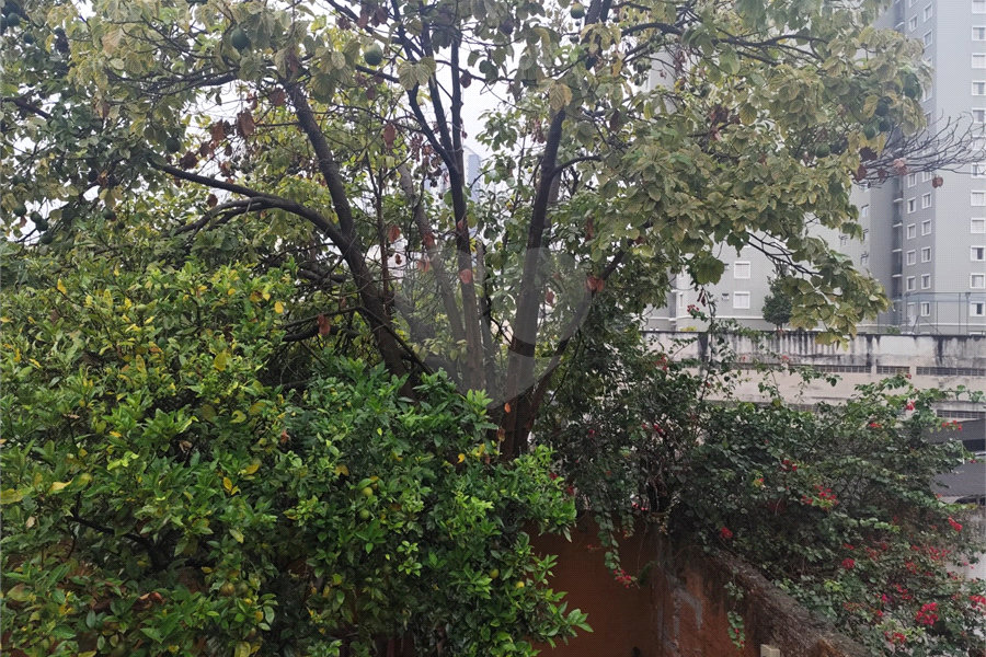 Sobrado para alugar com 2 quartos, sendo 1 suíte, em Santana, São Paulo, SP