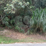 Terreno à venda no condomínio Alpes da Cantareira, Mairiporã - SP