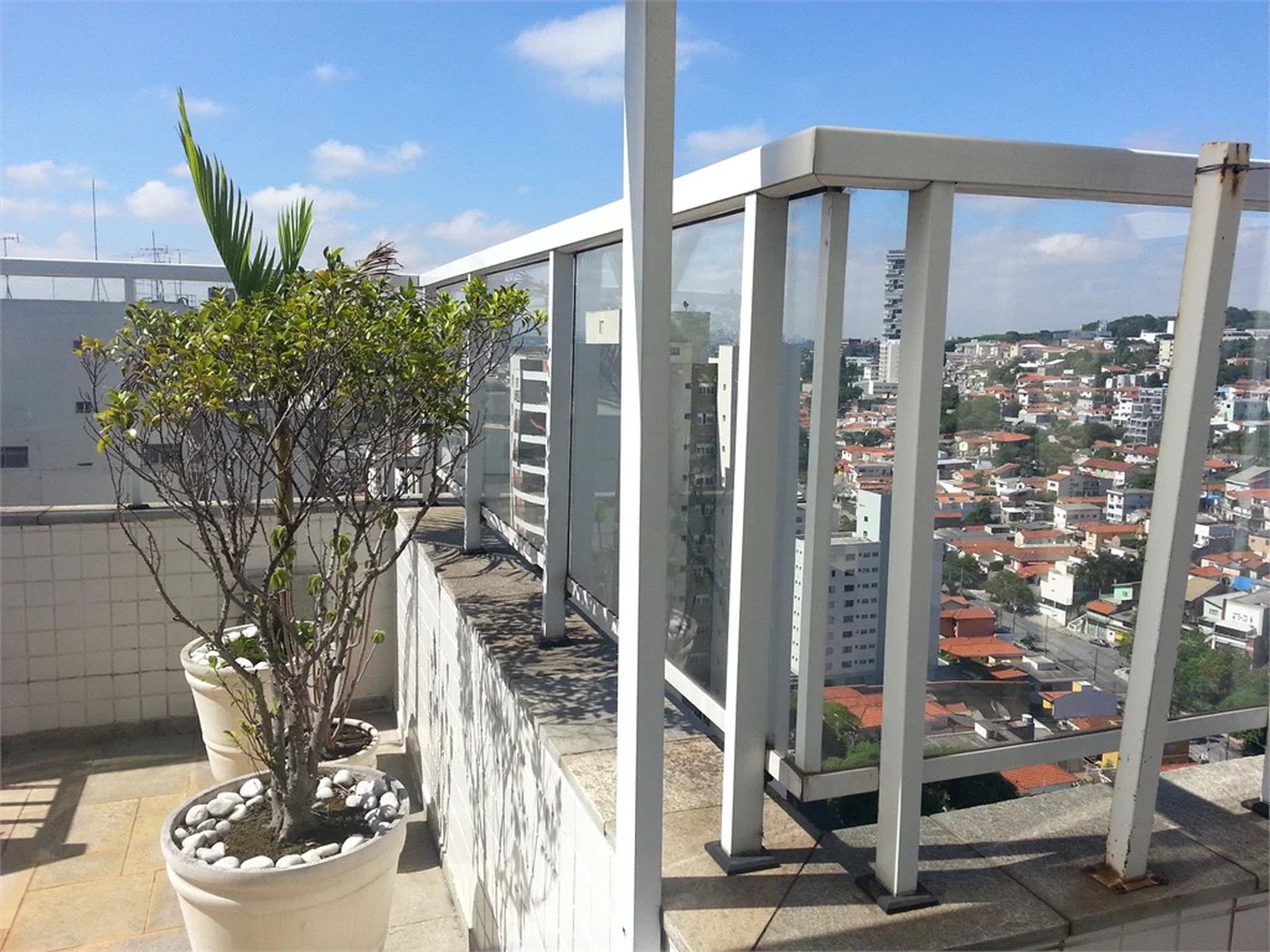 Cobertura à venda com 3 quartos, sendo 1 suíte, em Vila Ipojuca, São Paulo, SP
