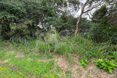 Terreno à venda em Caravelas, Armação dos Búzios, RJ