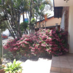Casa à venda ou para alugar com 3 quartos, sendo 1 suíte, em Jardim Maria Trindade, São Roque, SP
