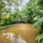 Chácara à venda com 3 quartos, sendo 1 suíte, em Jardim Buru, Salto, SP