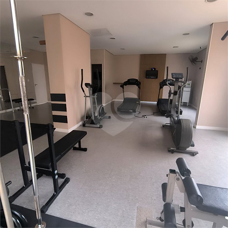 Apartamento à venda com 3 quartos, sendo 1 suíte,  em Cambuci, São Paulo, SP