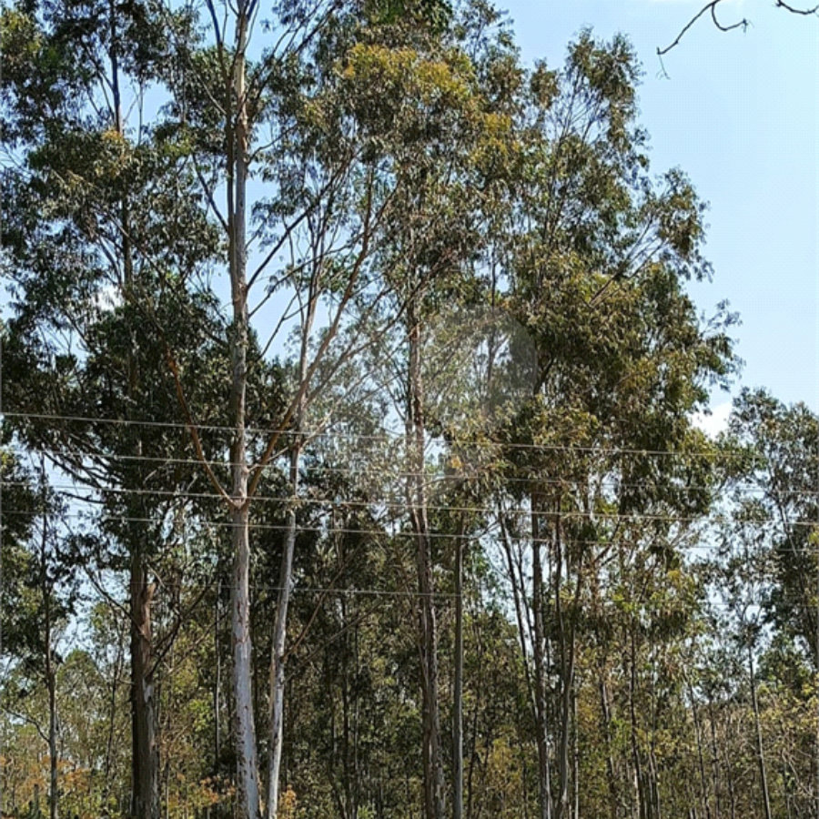 Terreno a venda no Bairro da Cachoeira em Atibaia