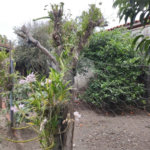 Casa Térrea à venda com 3 quartos em Vila Progresso, Porto Feliz, SP