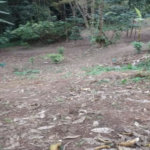 Terreno à venda em Jardim Ampliação, São Paulo, SP