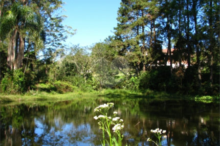 Sítio à venda com 3 quartos, sendo 1 suíte,  em Caputera, Mogi das Cruzes, SP