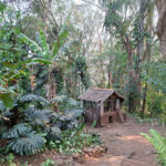 Sítio à venda com 3 quartos, sendo 1 suíte, em Bairro do Cambará, São Roque, SP