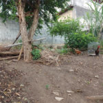 Terreno à venda com 1 quarto em Jaçanã, São Paulo, SP