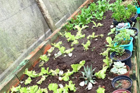 Casa à venda com 10 quartos, sendo 3 suítes, no condomínio Chácaras Campo Verde, Campo Limpo Paulista - SP