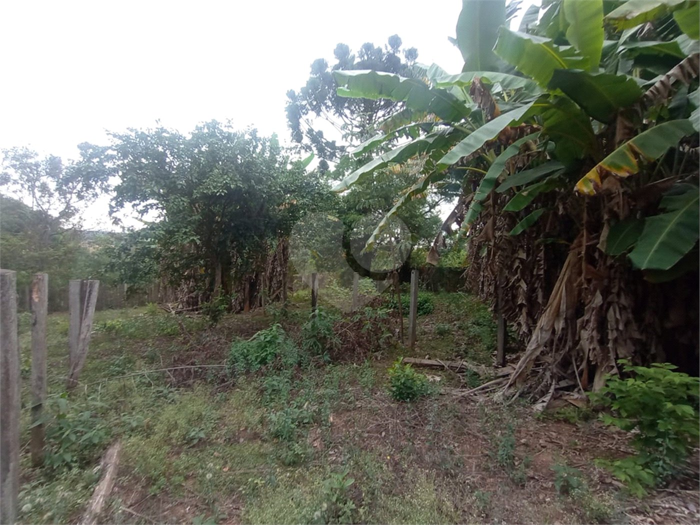Chácara à venda com 3 quartos em Vila Belo Horizonte, Itapetininga, SP