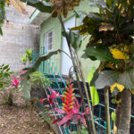 Casa à venda com 2 quartos, sendo 1 suíte,  em Vila Nova Bonsucesso, Guarulhos, SP