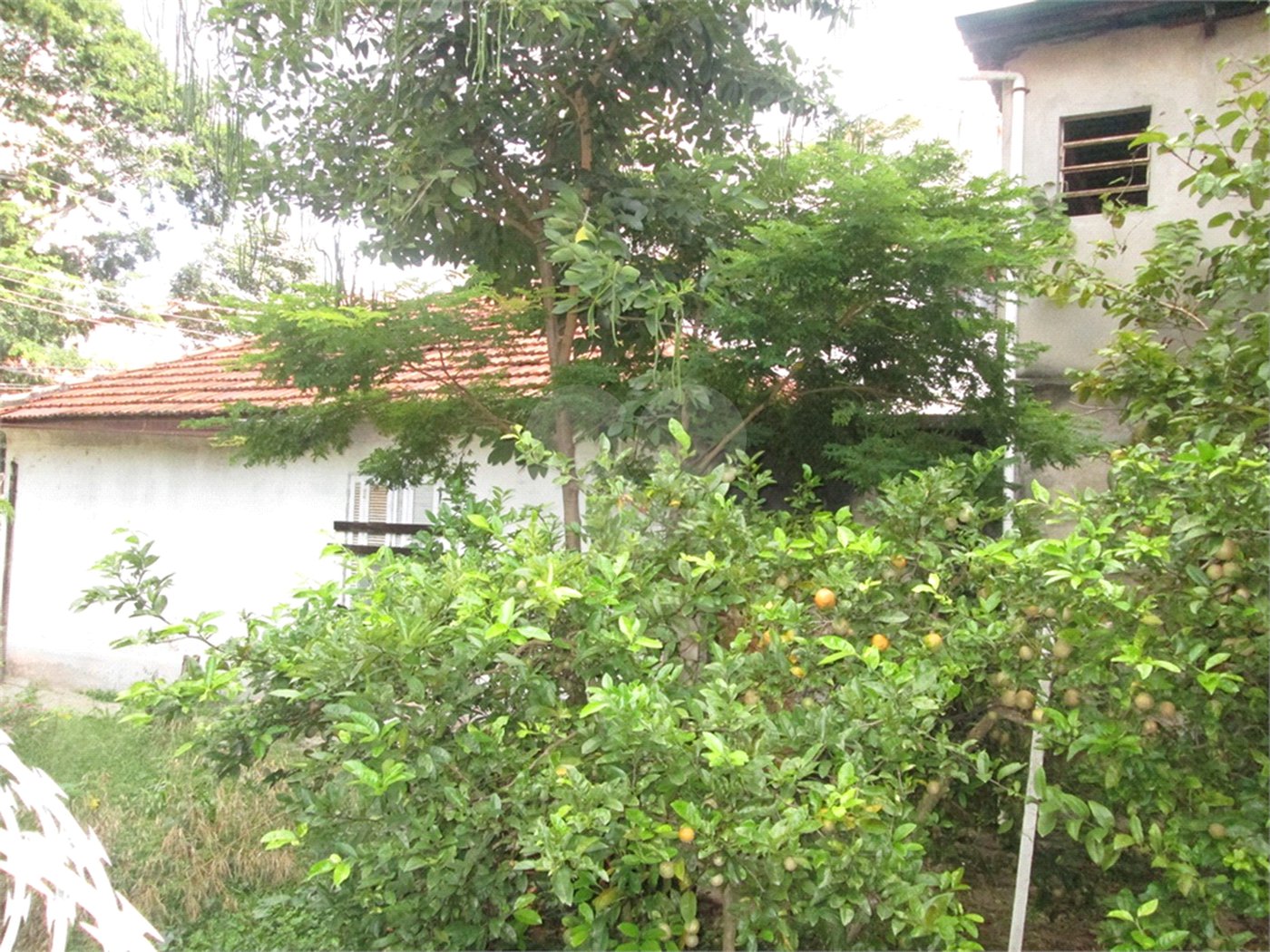 Casa Térrea à venda com 1 quarto em Santana, São Paulo, SP