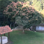 Casa à venda com 5 quartos, sendo 1 suíte, em Portal das Acácias, Santana de Parnaíba, SP