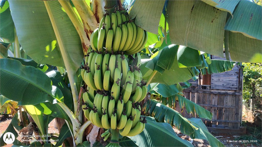 Chácara à venda em Campo Grande, Pilar do Sul, SP
